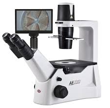Inverted Microscope
