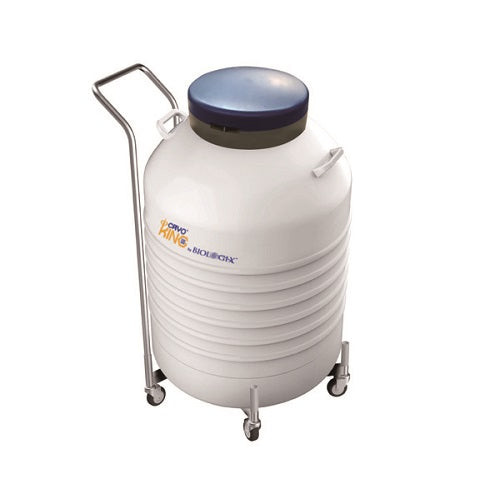 Liquid Nitrogen Storage